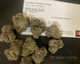 watermelon gelato strain review