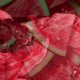 watermelon gelato tasting notes